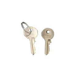 CAME GARD4-KEY Llave para desbloqueo manual de barreras GARD4