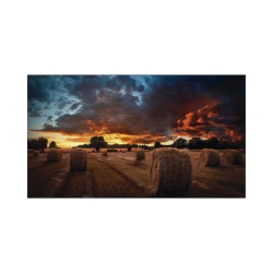 SAMSUNG ELECTRONICS VM46BU Pantalla Profesional de 46" para Video Wall Full HD (1080p) HDMI/DVI-D Bisel Ultra Delgado de 2.25mm. Compatible VESA