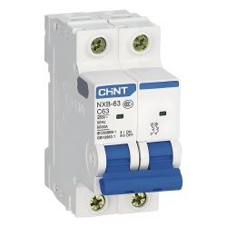 CHINT NXB632PC40 Pastilla para Riel Din 2 Polos 40 Amp Vca:110/415v 10kA Catalogo: NXB632PC40.