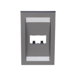 PANDUIT CFPE2IGY Placa de Pared Vertical Ejecutiva Salida Para 2 Puertos Mini-Com Con Espacios Para Etiquetas Color Gris