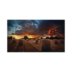SAMSUNG ELECTRONICS VM55BU Pantalla Profesional LED de 55" para Video Wall Full HD (1080p) HDMI/DVI-D/DP Bisel Ultra Delgado de 2.3mm. Compatible VESA 600x400