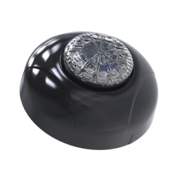 SIGNALPRO SPF12W Estrobo Oculto de 12 LED Brida negra 12 Vcd Clara Lente transparente