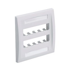 PANDUIT CFPE10IW-2GY Placa de Pared Vertical Ejecutiva Salida Para 10 Puertos Mini-Com Con Espacios Para Etiquetas Color Blanco Mate