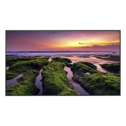 SAMSUNG ELECTRONICS QB55C Pantalla Profesional LED de 55" para marketing digital / UHD 4K (3840x2160p) / Entradas de Video HDMI / uso 16/7 / Compatible VESA 200x200 / compatible con plataforma de gest