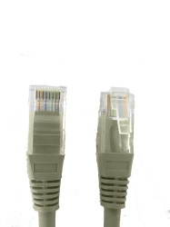 SAXXON TCE119021 SAXXON P61UG - Cable patch cord UTP 1 metro / CAT 6 / Color gris