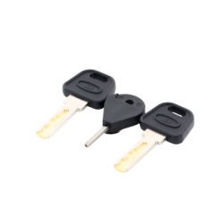 HIKVISION 190614039 Llave de Puerta de Estacion de Panico DS-PEA3M-21 / DS-PEA3M-21HiÂ»Â¿ (Repuesto)