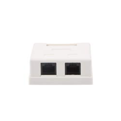 LINKEDPRO BY EPCOM LP-WP-6035 Caja de Pared con 2 Puertos Incluye 2 Jacks UTP Cat5e Keystone