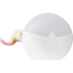 LUTRON ELECTRONICS ECDIRWH Sensor de Luz Natural con Receptor Infrarrojo / Para Cosecha de Luz Natural / Cableado / Funciona con Balastos y Módulos de Control Lutron / Rango IR 2.5 m (8.2 ft) / Clase 2 SELV/PELV / cULus / CE
