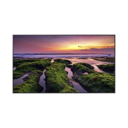SAMSUNG ELECTRONICS QB55C Pantalla Profesional LED de 55" UHD 4K (3840x2160p) Entradas de Video HDMI Bocinas Integradas de 10 W. Compatible VESA