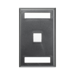 PANDUIT NK1FBL Placa de Pared Vertical Salida Para 1 Puerto Keystone Con Espacios Para Etiquetas Color Negro