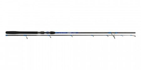 LANSETA RECAST RSW HEAVY 2.20M 60G 2BUC