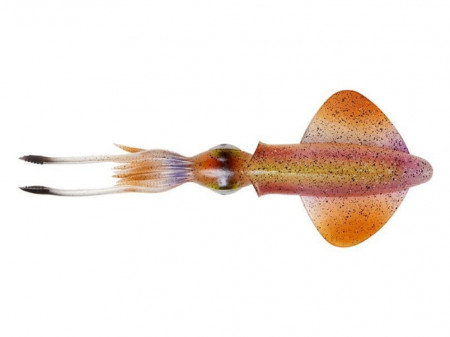 SWIMBAIT SAVAGE GEAR 3D SWIM SQUID 9.5CM / 35G HORNY SQUID 4BUC / PL