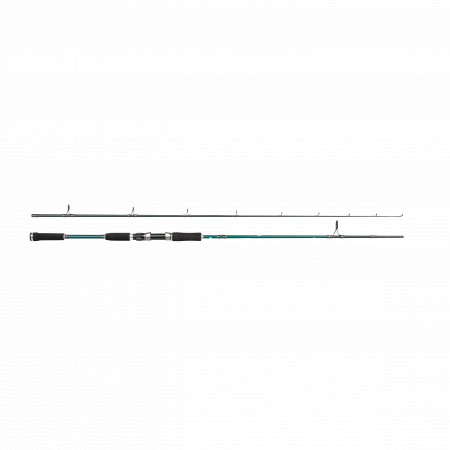 LANSETA ABU GARCIA BEAST X PIKE 842 H 30-110G SPIN 2.54M