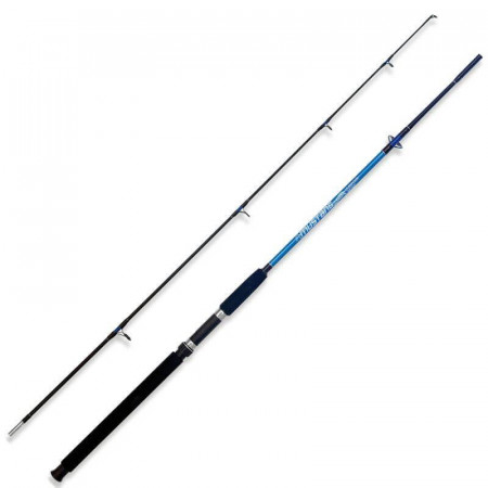 LANSETA LINEAEFFE MUSTANG EVOLUTION 2.40M 100-250G 2BUC