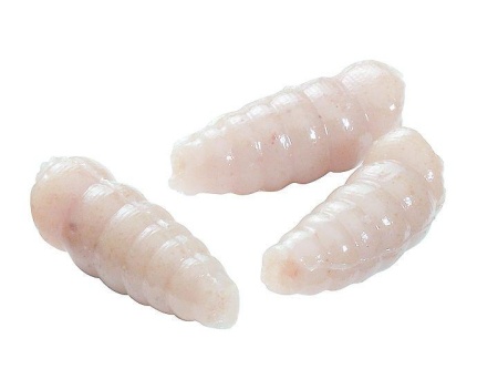 VIERMI ARTIFICIALI BERKLEY POWERBAIT MAGGOT WHITE