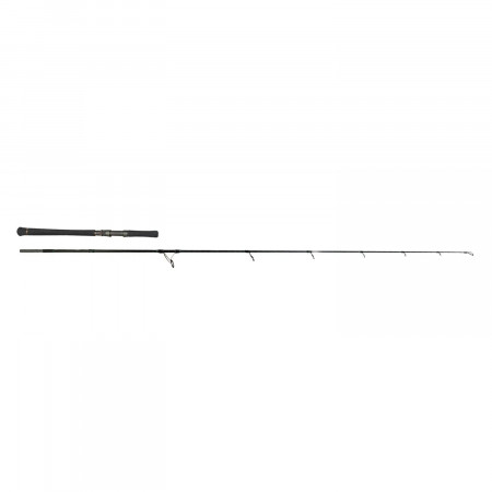 LANSETA ZECK EVO CAT SPIN 2.40M 100G 2TR