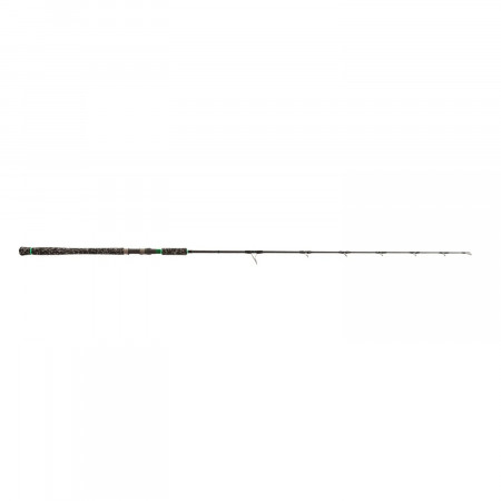 LANSETA ZECK V-STICK 1.72M 200G 1TR