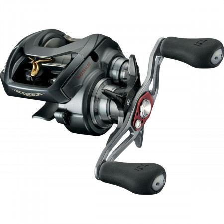 MULINETA CASTING DAIWA STEEZ A TW 1016SHL