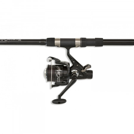 SET LANSETA LINEAEFFE CARP EXTREME FISHING 3.60M+MULINETA S 60