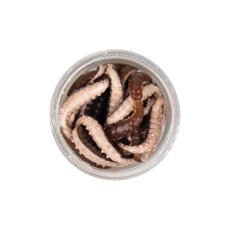 WORM BERKLEY POWERBAIT POWER HONEY WORM GREY PEARL