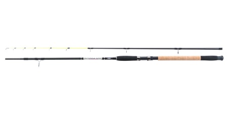 LANSETA JAXON INTENSA GTX POWER TIP BOAT 2.70M 50-120GR