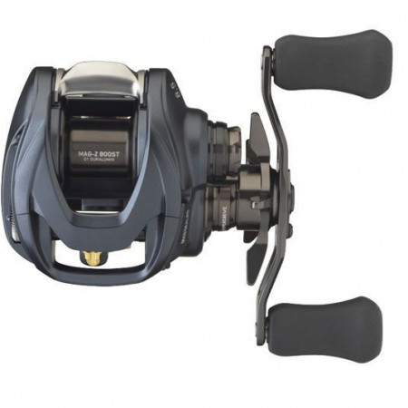 MULINETA DAIWA STEEZ A II TW 1000HL