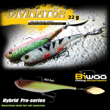 SPINNERTAIL BIWAA DIVINATOR JUNIOR 14CM 22GR 33 AYU