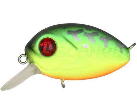 VOBLER PONTOON21 BABY REDRAG 32F-SR 3.2CM 4.8G 070 F