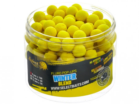 BOILIES SELECT BAITS POP-UP MICRO WINTER BLEND 8MM
