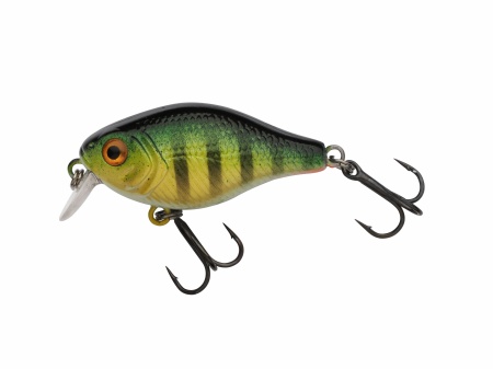 VOBLER BERKLEY PULSE FRY SHALLOW 3.8CM / 4.5G PERCH