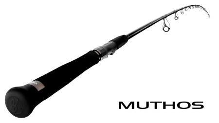 LANSETA ZENAQ MUTHOS ACCURA 100HHH 304CM 80-250GR 2BUC FUJI TITANIUM SIC