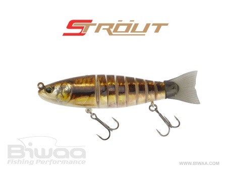 SWIMBAIT BIWAA STROUT 5.5 14CM 29GR 28 VAIRON