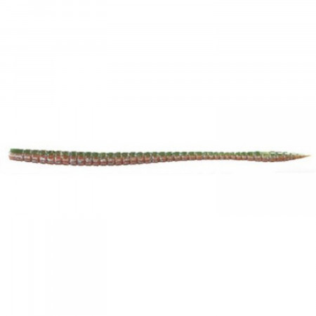WORM OWNER SHAKY WORM 160MM 16 GREEN WEENIE