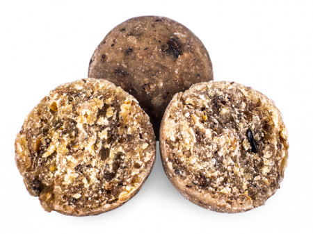 BOILIES SELECT BAITS NUTTY SCOPEX