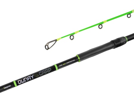 LANSETA DELPHIN DUNAY CARP 270CM 200G 2BUC