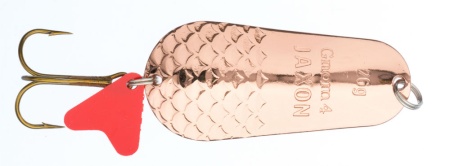 LINGURITA OSCILANTA JAXON HS GNOM CLASSIC 26GR 2C