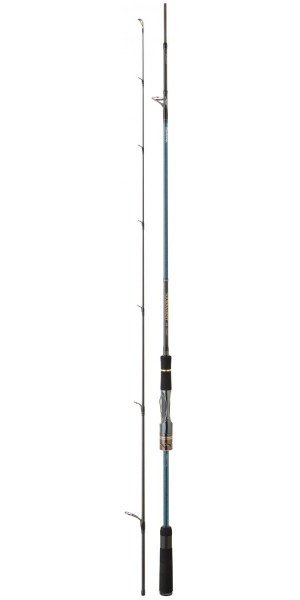 LANSETA DAIWA TOURNAMENT AGS 702MHFS 2.13M / 7-28G 2BUC