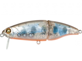 10CM 17.1G 850