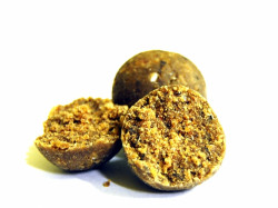 BOILIES SELECT BAITS BELACHAN + MUSSEL & BELACHAN