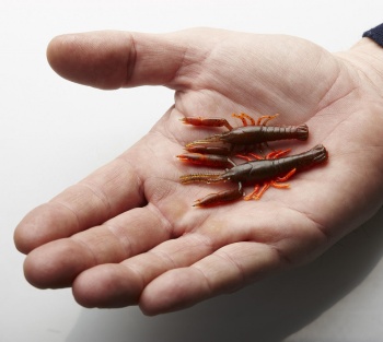 CREATURA SAVAGE GEAR 3D CRAYFISH RATTLING 5,5CM/1,6G RED UV - Img 4