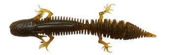 CREATURA SAVAGE GEAR NED SALAMANDER 7.5CM / 3G GREEN PUMPKIN 5BUC / PL