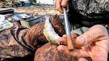 CROSETA BLACK CAT DEAD BAIT PUNCHER L: 40CM - Img 2