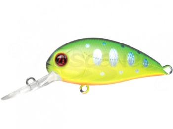 HYPNOSE 3.8CM 4G R10