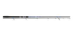 LANSETA RECAST RSW HEAVY 2.20M 60G 2BUC