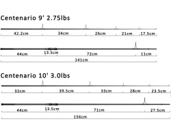 LANSETA SELECT BAITS CENTENARIO 3.00M 3.0LB 2BUC