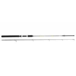 LANSETA SERT FISH INSTINCT FW20 2.40M 20-50GR SPINCAST