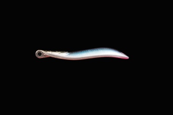 LINGURITA OSCILANTA JACKALL COSAJI 4.1CM 3.3G IKENOKUROGILL - Img 2
