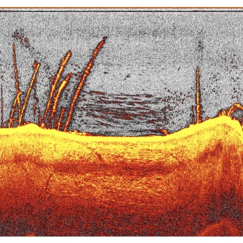MODUL NAVOMODEL / BARCUTA PLANTAT DEEPER DOWNSCAN UNDERVISION - Img 5