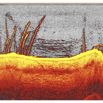 MODUL NAVOMODEL / BARCUTA PLANTAT DEEPER DOWNSCAN UNDERVISION - Img 11