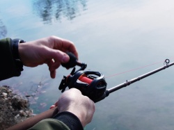 MULINETA CASTING DELPHIN RUNIX